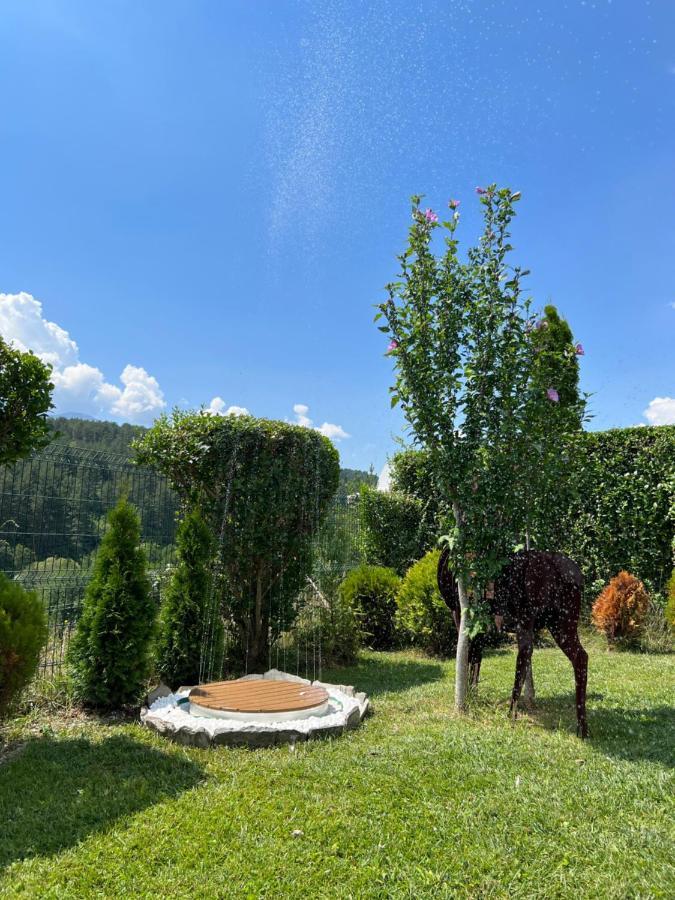 Katarino Spa Chalet رازلوغ المظهر الخارجي الصورة